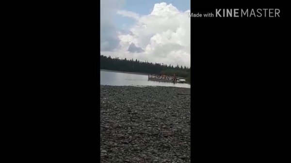 Посёлок Софийск,крик о помощи