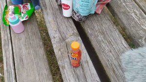 экскурсия с классом. школа басика.