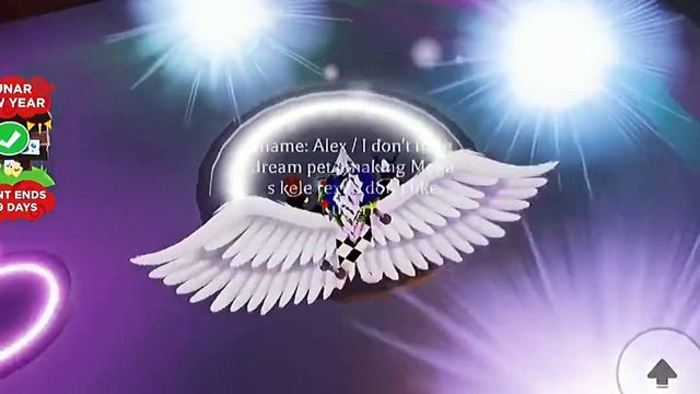 I'm making NFR Snow Owl?| Сделал неон снежную сову❄️ смотреть онлайн