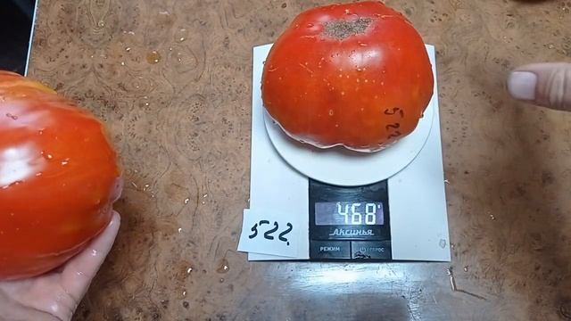 Томат Мега Марв смотреть онлайн