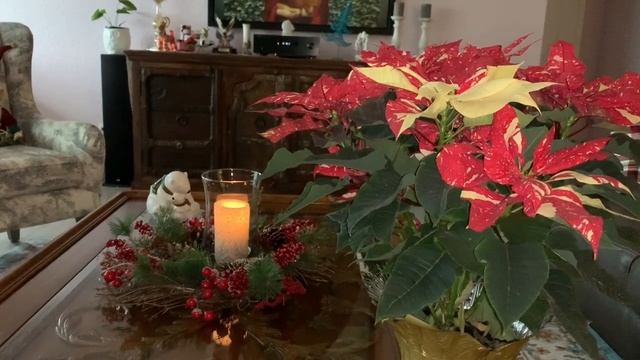 Christmas home decor. Новогодний рум тур по моему американскому дому смотреть онлайн