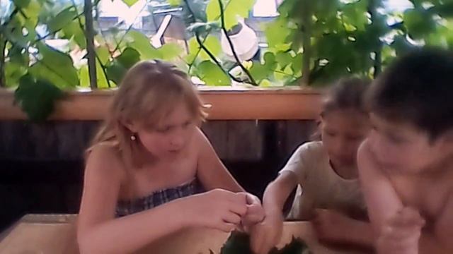 Кушаем жареных кузнечиков? смотреть онлайн