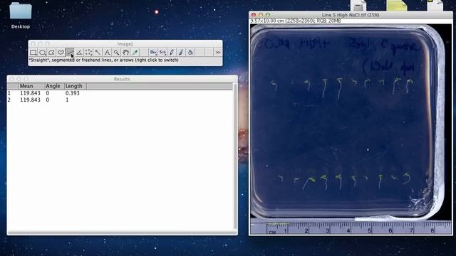 ImageJ Tutorial - Measuring Lengths and Angles смотреть онлайн