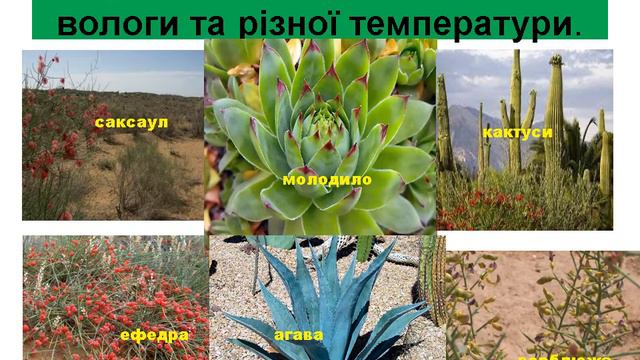 Природознавство 5 клас Наземно повітряне середовище смотреть онлайн