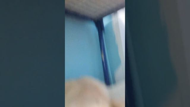 Да нечего делать в лесу смотреть онлайн