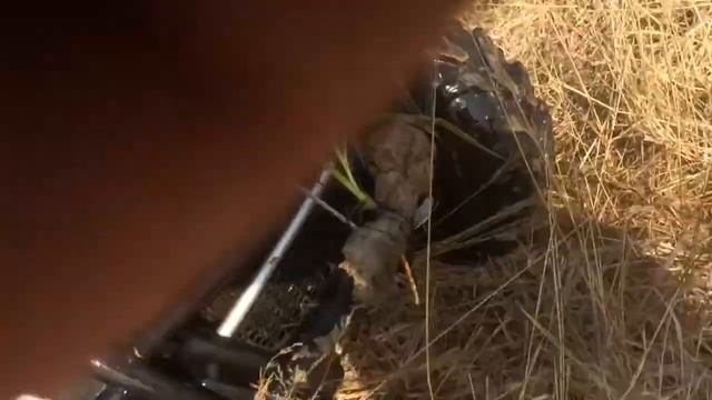 Stels 700D в воде смотреть онлайн