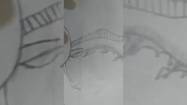 Different sketches in one row смотреть онлайн