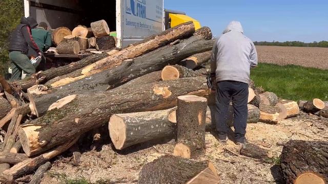 ???STIHL 462C-M vs MS361??? смотреть онлайн