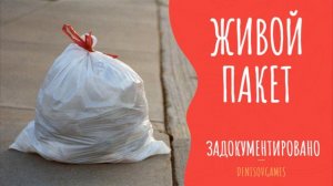 ЖИВОЙ ПАКЕТ ( Страшная история )