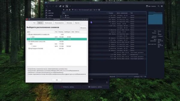Установка Linux Manjaro на новый SSD (btrfs) параллельно с HDD