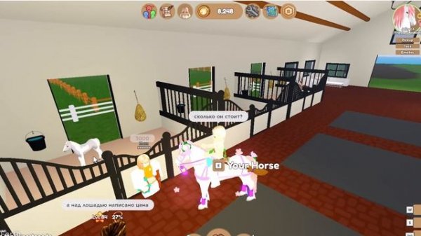 ОЦЕНИВАЕМ МАГАЗИНЫ  ( покупаем лошадей ) Wild horse island roblox