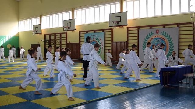 Аттестация на желтый пояс Тхеквондо (ВТФ). Каменка 09.12.2017 смотреть онлайн