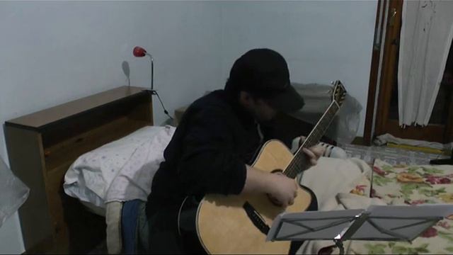 Peak's puzzle - Stefan Grossman cover смотреть онлайн