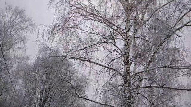 Барсуки 3 02 2021 смотреть онлайн