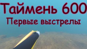 Тест подводного ружья Таймень 600