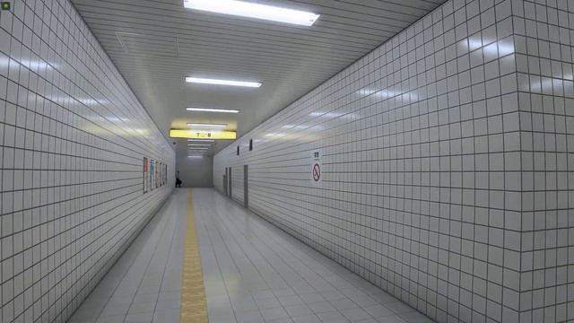 The Exit 8 прохождение (Без комментариев/no Commentary)