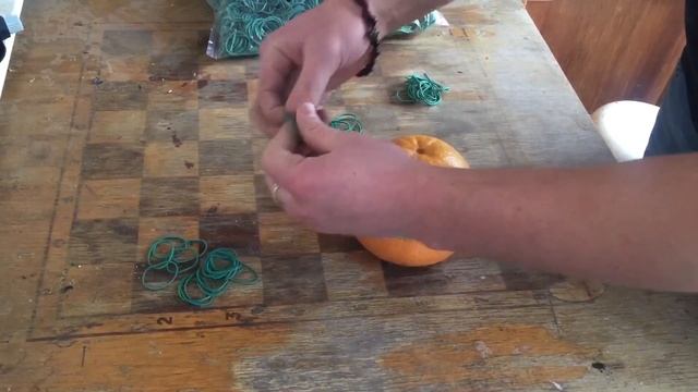 Грейпфрут ЧЕЛЛЕНДЖ!!! Сколько резинок надо чтоб взорвать грейпфрут?!? ЭКСПЕРИМЕНТЫ НА КАНАЛЕ!!! ? смотреть онлайн