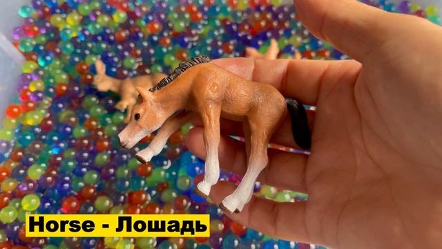 Учим Животных на английском -- Animals Names In English -- осел，свинья，Утка，Лошадь，Гиппопотам，Жираф смотреть онлайн