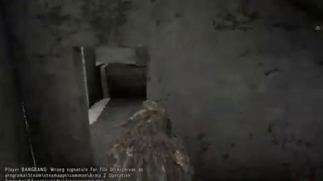 Знакомство с Arma2 - Оperation Arrowhead (кооператив SkinerTV+Kэп) № 2 смотреть онлайн