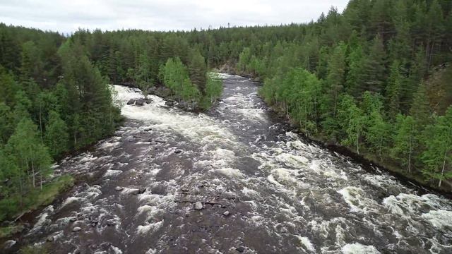 Кандалакшский берег, р. Колвица, водопад. 18.06.2022 смотреть онлайн
