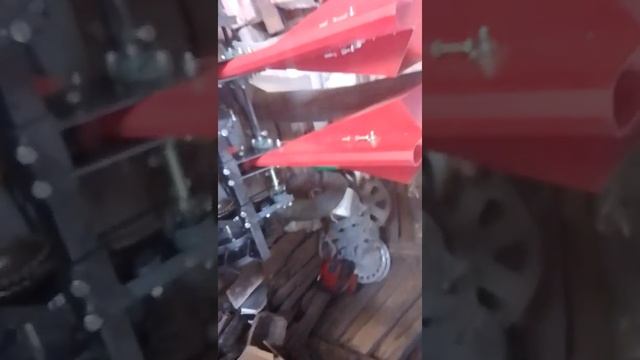 Купили чеснок на семена, собираемся впервые сажать чеснок. смотреть онлайн