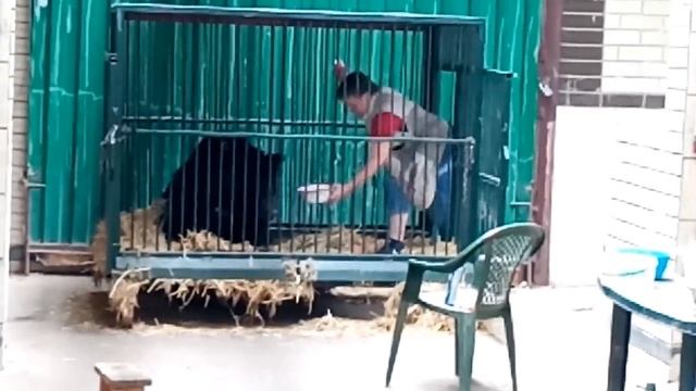 Лучшее для медведя Маши смотреть онлайн