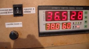 Самый надежный увлажнитель для инкубатора