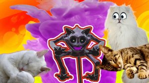 Кошечка Василиса ПОБЕДИЛА Страшного КЭТНЭПА!!!