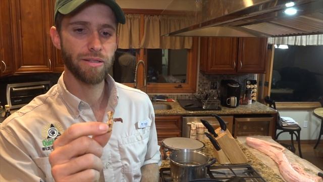 GRAPHIC! Catch and Cook Wild Florida Burmese PYTHON!!! смотреть онлайн