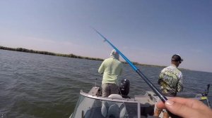 Рыбалка на Маныче. (Веселовское водохранилище)