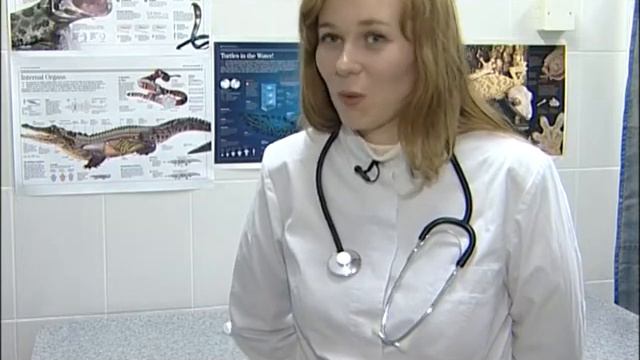 Gerpetolog смотреть онлайн