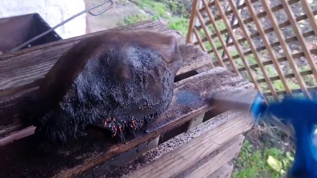 Готовим лосиную губу. смотреть онлайн