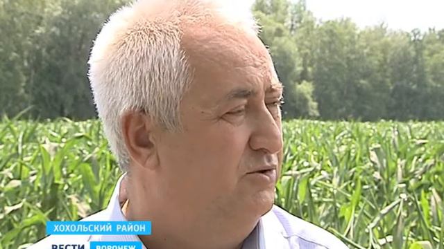 Здоровый плод - земледельцу почет смотреть онлайн