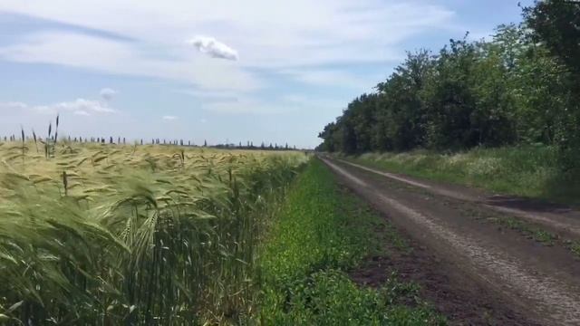 Nissan sunny n13 японский самурай? смотреть онлайн