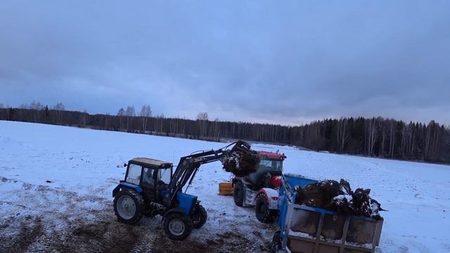 КИРОВЕЦ К-525 с полуприцепом ПС-15 ЯРОСЛАВИЧ, МТЗ 82. Кто возит больше? смотреть онлайн