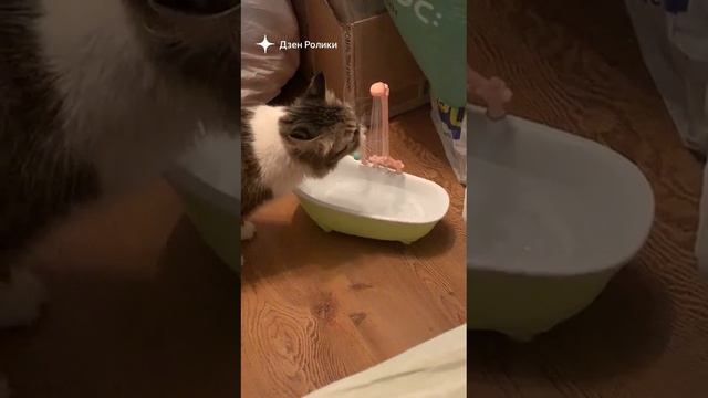 Как утолить жажду... смотреть онлайн