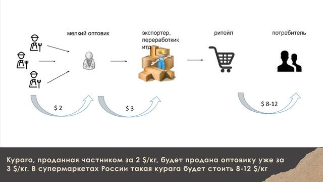 Хранение, фасовка и реализация сухофруктов абрикоса