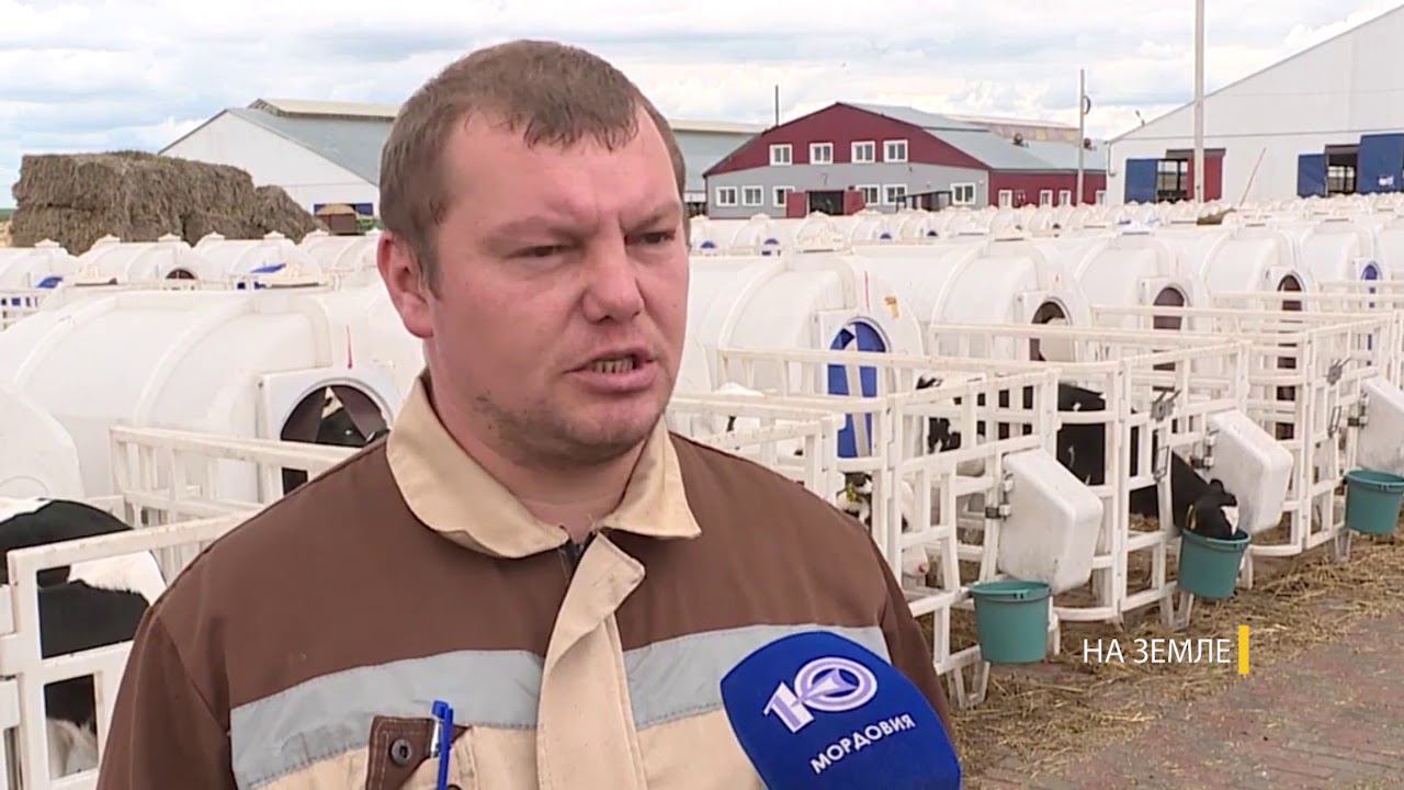 Хорошее дело возрождает животноводческие фермы смотреть онлайн