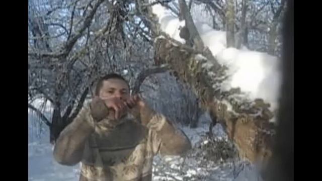 Dark Vargan (KRis remix) смотреть онлайн