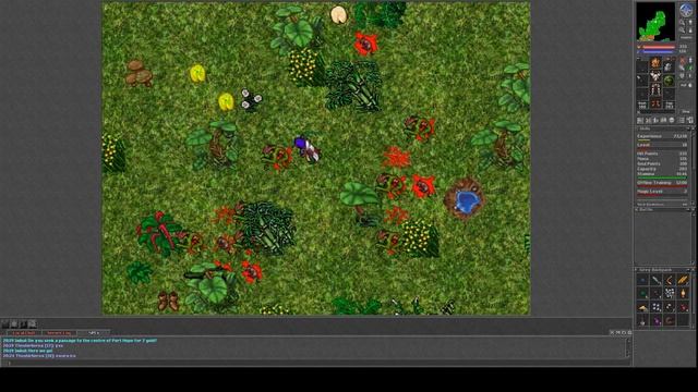 tibia gameplay - what is tibia смотреть онлайн