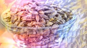 ЖАРЕНЫЕ СЕМЕЧКИ ПОЛЬЗА И ВРЕД