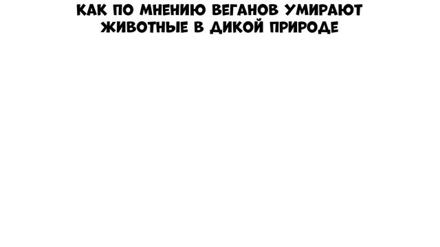 Мемы | Дневная подборка мемов 603 смотреть онлайн