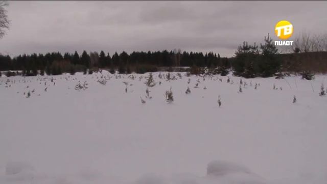В Твери ёлочные базары откроются 22 декабря. 2016-12-19 смотреть онлайн