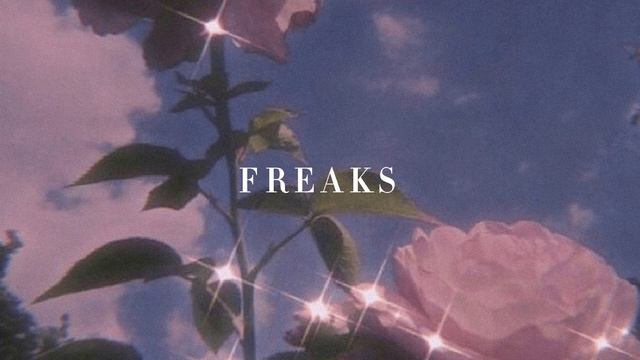 Surf Curse - Freaks [Slowed + pitched + muffled] смотреть онлайн