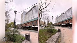 КУПИЛ iPhone 15 - обзор, плюсы и минусы - ЛУЧШЕЕ ОБНОВЛЕНИЕ?