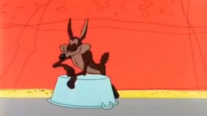 По дороге с облаками Скороход и Вилли койот и эндемичные страус мультики