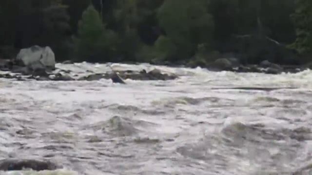 Карелия р. Пистайоки.MOV