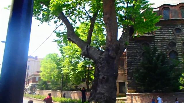 В СТАМБУЛЕ С ДЕТЬМИ - неповторимая ТУРЦИЯ TOPKAPI смотреть онлайн