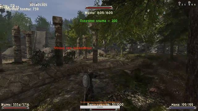 Готика 2: Возвращение 2 (0.66 R2) + Texture Replacer. На легенде #159 (+18) смотреть онлайн
