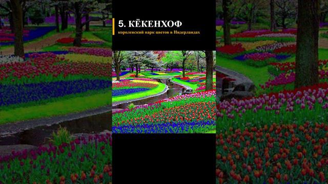 #сад #ландшафт #природа #искусство #алтай #АГУ смотреть онлайн